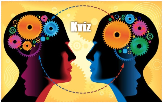 Száz emberből ötven tud legalább 5 pontot elérni ezzel a napi kvízzel - Zsenimágnes jött