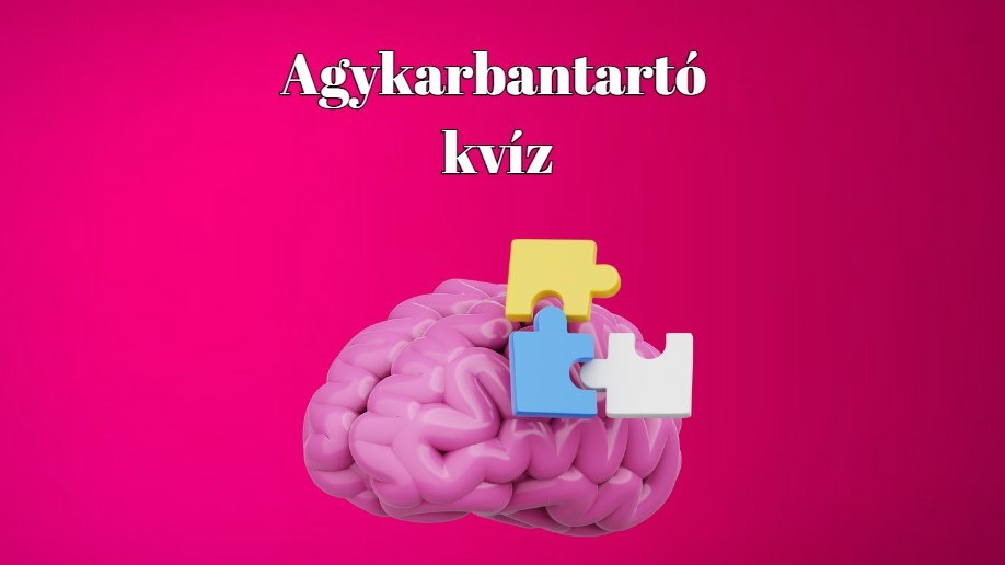 Melyik a szlovén gépkocsik jelzése?