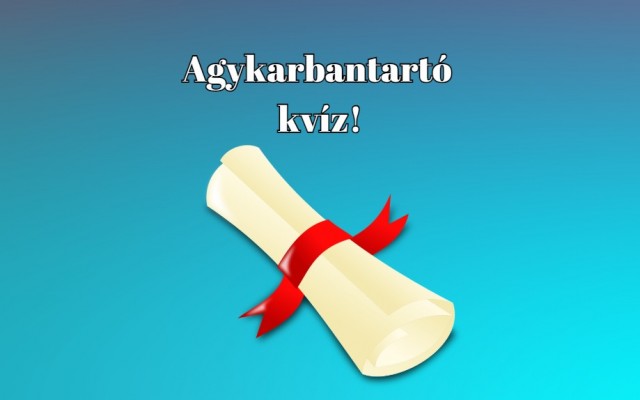 Agypörgető kvíz - Csak a legokosabbak kapnak legalább 6 pontot erre a kvízre