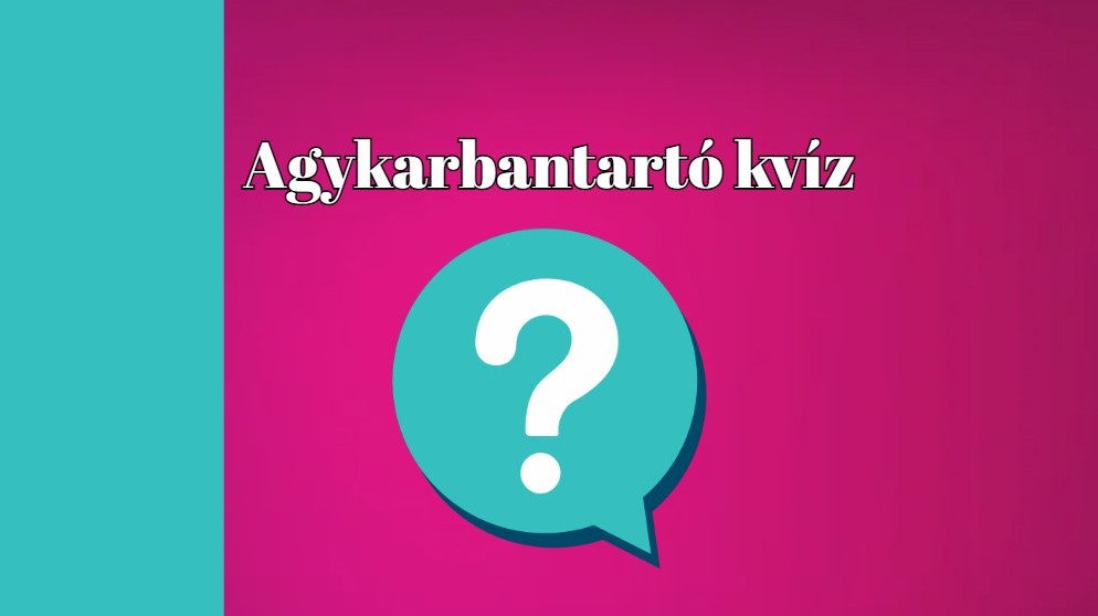A macska-egér mesepáros állandóan ütlegelik, ugratják egymást. A páros egere Jerry, hogy hívják a macskát?