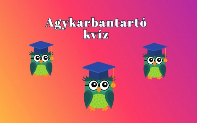 Agykarbantartó napi kvíz - Minden napra kell egy kis szellemi sikerélmény