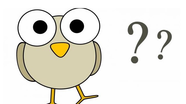 Milyen állat a csincsilla?