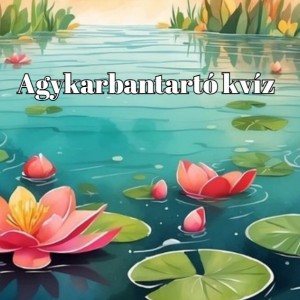kvizek