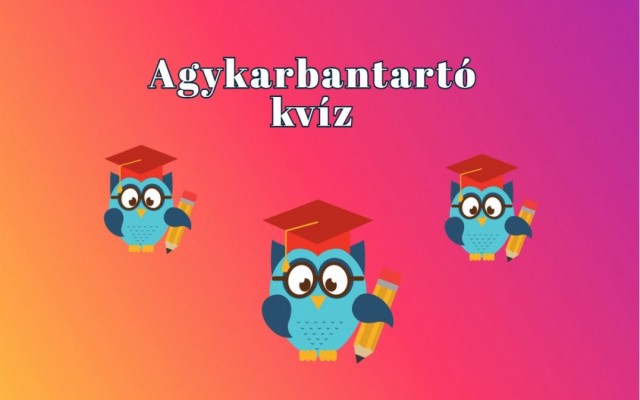 Napi kvíz - Válaszold meg a kérdések többségét és szerezz vele minél több pontot