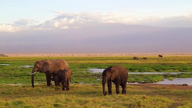 Melyik ország fővárosa Nairobi?