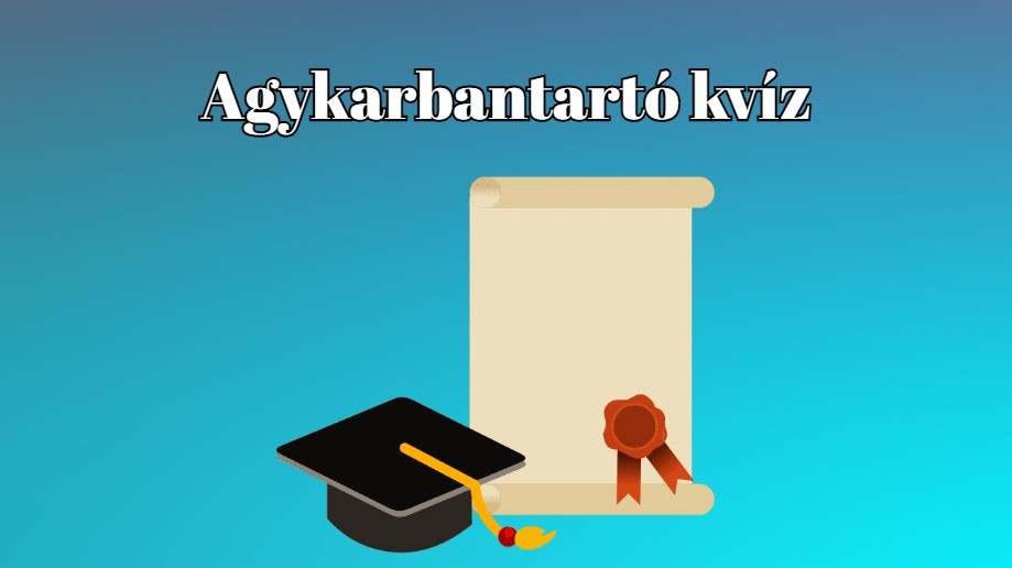 Mi Dánia pénzneme?