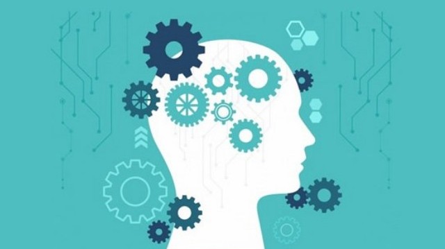 Mit jelent az XC arab számokkal?