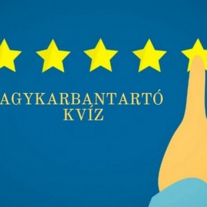 kvizek