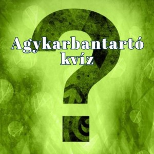 kvizek