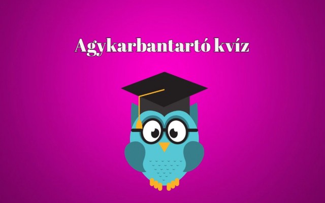 IQ-mérő kvíz – Ha legalább 6 kérdésre helyesen válaszolsz, az átlag felett teljesítesz