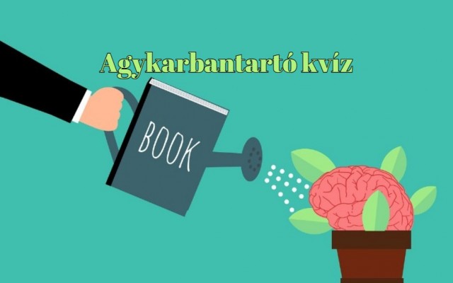 Mutasd meg zsenialitásod és érd el a maximális pontszámot ebben a napi kvízben!