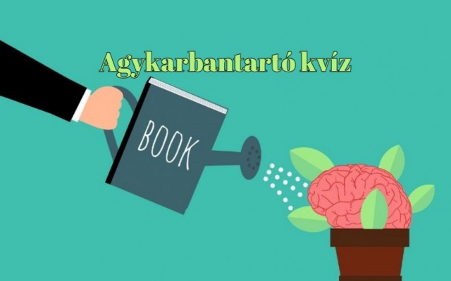 Mutasd meg zsenialitásod és érd el a maximális pontszámot ebben a napi kvízben!