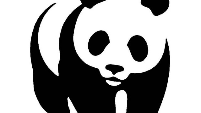 Veszélyeztetett faj. Már csak néhány kínai hegyvidéki területen fordul elő. Fő tápláléka a bambusz. A WWF szervezet jelképe.