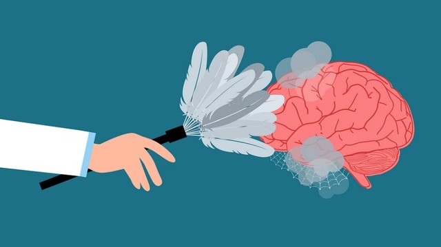 A burgonya kártevője, amely egy földrajzi nevet visel. A burgonya kártevője, amely egy földrajzi nevet visel.