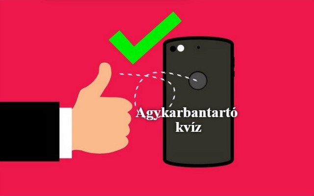 Napi kvíz: Megnyugodhatsz, mert ma sem maradt el a kedvenced, az agykarbantartó