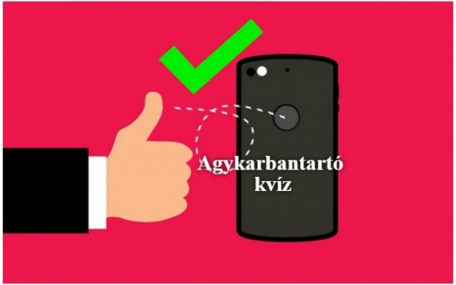 Napi kvíz: Megnyugodhatsz, mert ma sem maradt el a kedvenced, az agykarbantartó