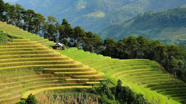 Melyik ország fővárosa Vientian?