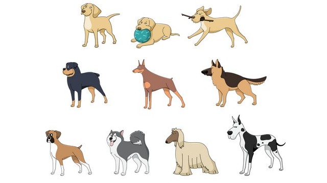 ... kutya többet ugat, mint mar.