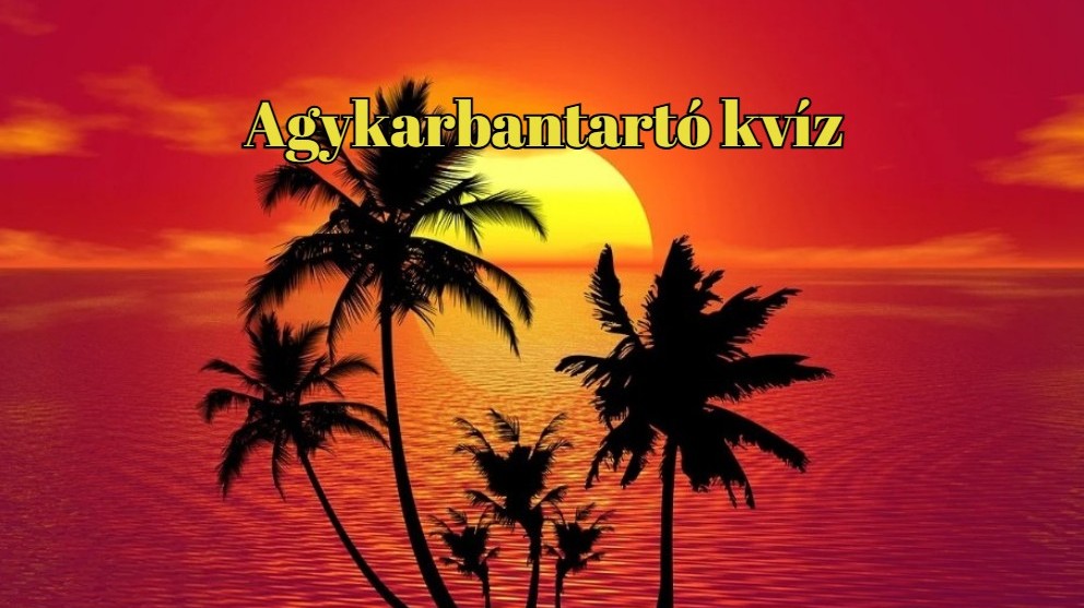 A tengeriuborkák vajon állatok, vagy növények? A tengeriuborkák vajon állatok, vagy növények?