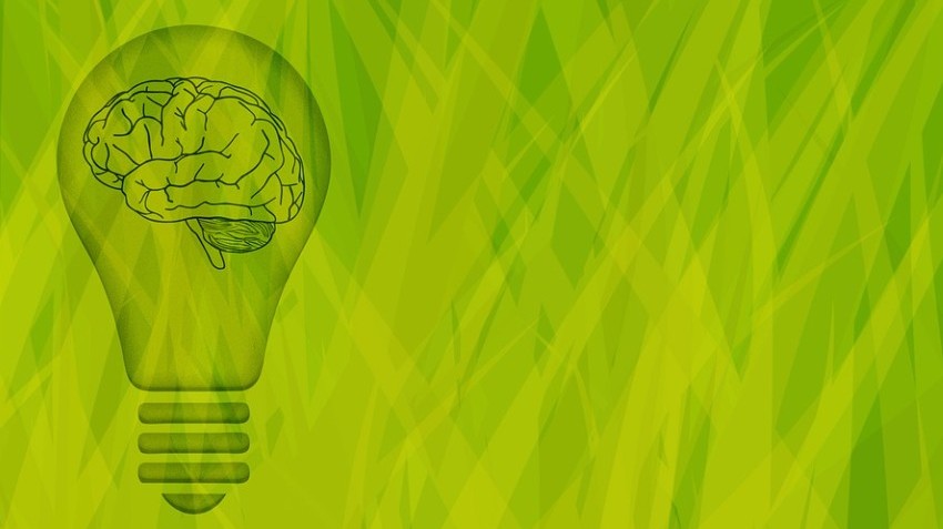 Melyik nem páros szerv ezek közül? Melyik nem páros szerv ezek közül?