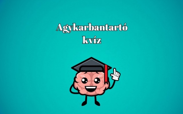 Napi kvíz - Most mutasd meg, hogy műveltségért nem kell a szomszédba menned