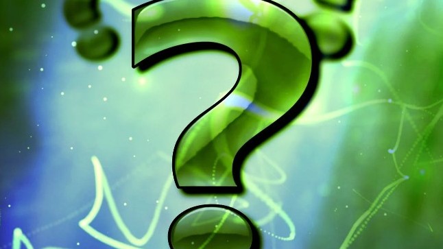 Milyen állat a guvat?