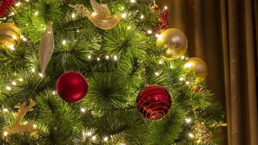 A XVI. században, kik állítottak a világban először karácsonyfát? A XVI. században, kik állítottak a világban először karácsonyfát?