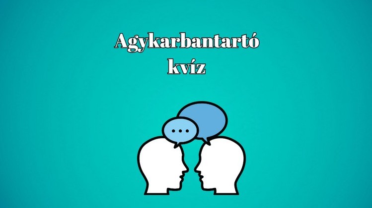 A fekete tulipán - Ki írta?