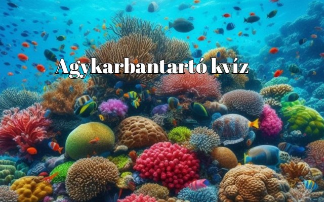 Agykarbantartó kvíz - Ez friss napi kvízkihívás most igazán megdolgoztat