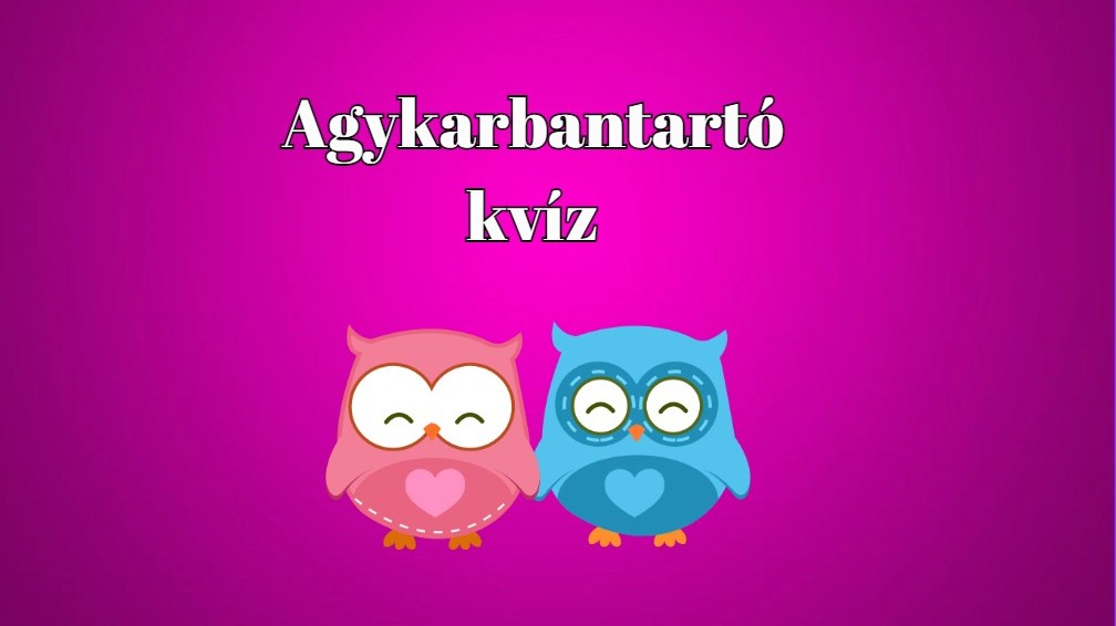 A neveletlen hercegnő naplója A neveletlen hercegnő naplója