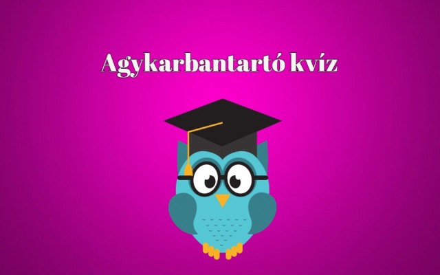 Készen állsz arra, hogy egy újabb kvízben teszteld a tudásod? - Napi kvíz