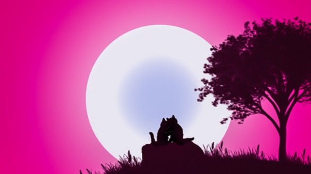 Az északi féltekén mikor a leghosszabb a nappal?