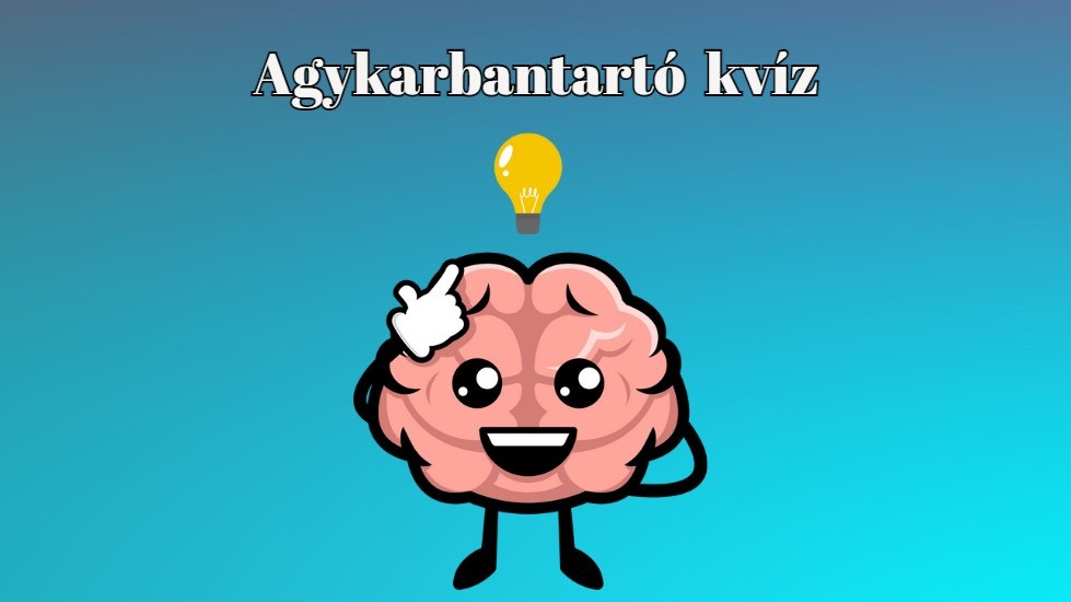 Az emberi agy lebenyei között, ilyen (hivatalos elnevezésű) lebeny nincs.