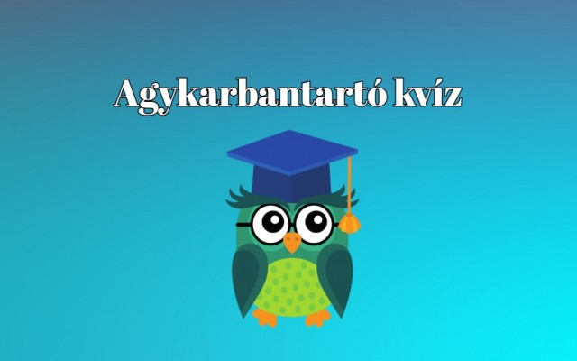 Zsenimérő - Ezzel az agykarbantartó kvízzel egy remek kikapcsolódásban lesz részed. Mehet?