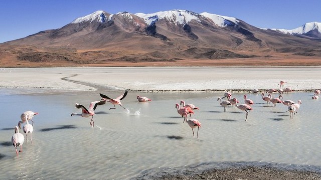 A világ egyik legmagasabban fekvő nagyvárosa, korábban Bolívia fővárosa volt. A világ egyik legmagasabban fekvő nagyvárosa, korábban Bolívia fővárosa volt.