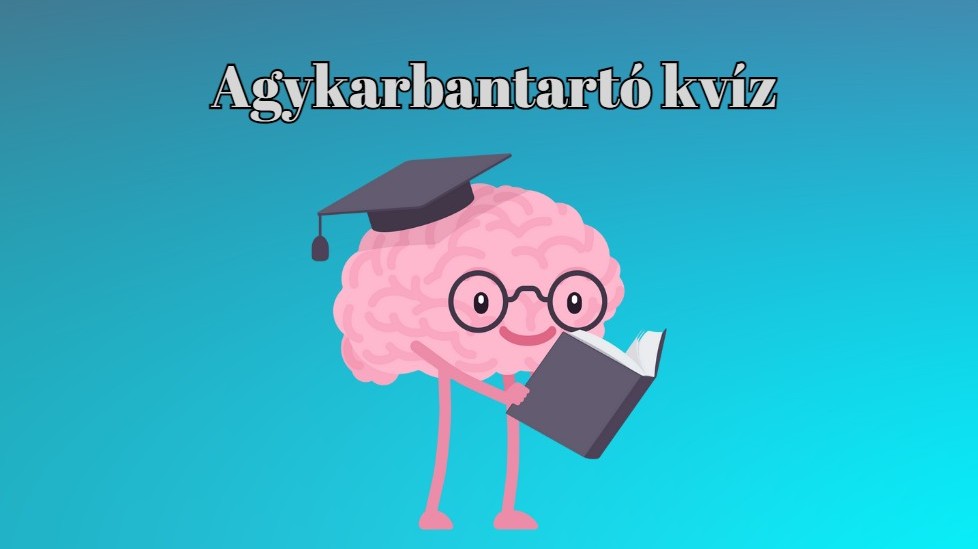 A bélnek melyik részét távolítják el vakbélműtétkor?