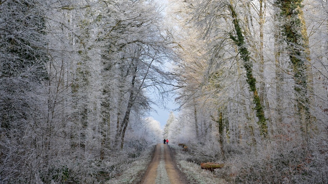 Mikor van az északi féltekén a téli napforduló; a csillagászati tél kezdete?
