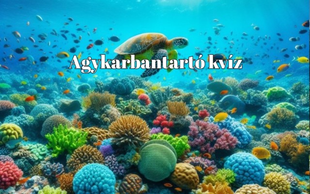 Napi agykarbantartó kvíz-mix - Ha szellemi kalandra vágysz itt a helyed