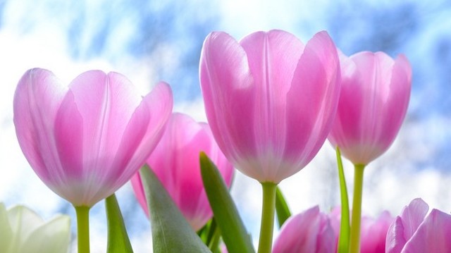 "...zsákban hoznak meleget" - A felsoroltak közül, ki az, aki nem? "...zsákban hoznak meleget" - A felsoroltak közül, ki az, aki nem?