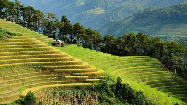 Melyik ország található az Indokínai-félszigeten?