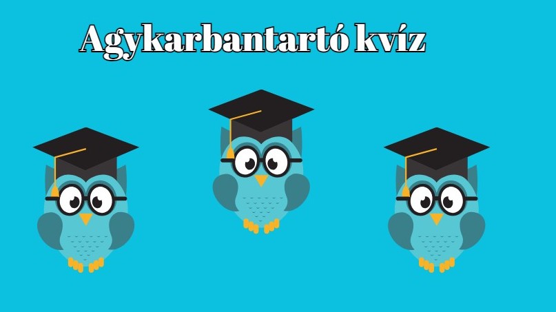 A dermatitis a test mely részét érinti?