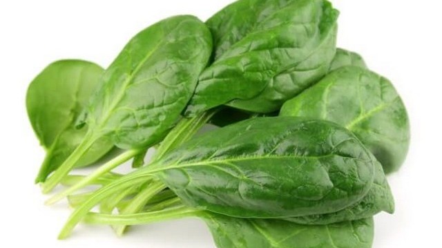 Melyik részét fogyasztjuk a spenótnak?