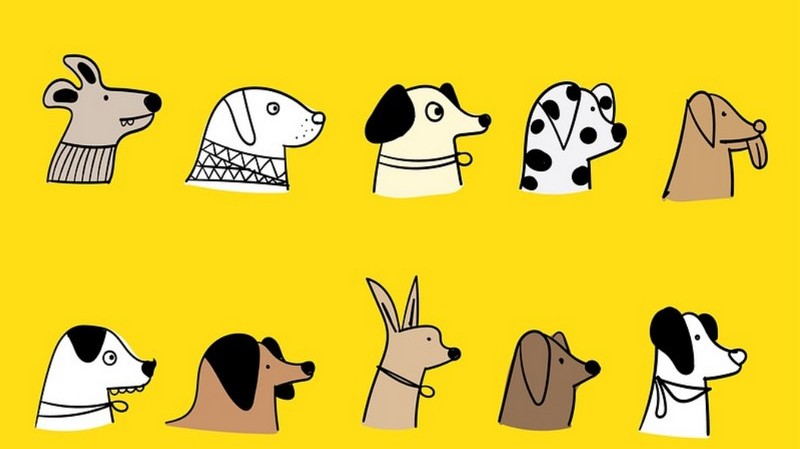 Az alábbi három név közül kettő Fekete István regényeiben szereplő kutyáé. Melyik nem tartozik közéjük?