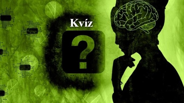 Hány üregből áll a szív?