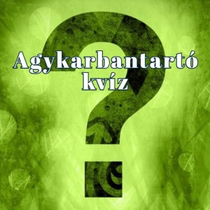kvizek