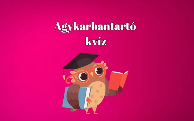 Vajon sikerül hibátlanul végigmenned a kvízkérdéseken? Most kiderül - Napi agykarbantartó kvíz