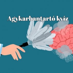 kvizek