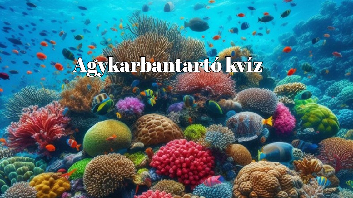 Vág az eszed, mint a borotva? - Ebből a napi kvízből kiderül