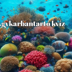 kvizek