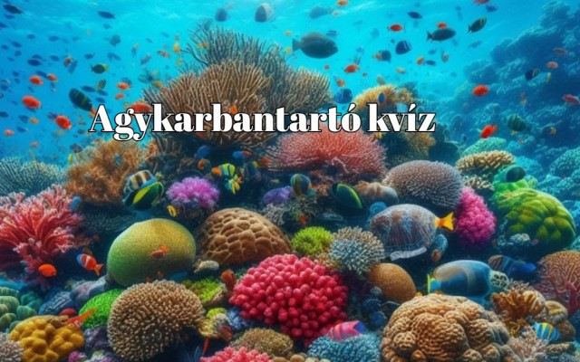 Vág az eszed, mint a borotva? - Ebből a napi kvízből kiderül